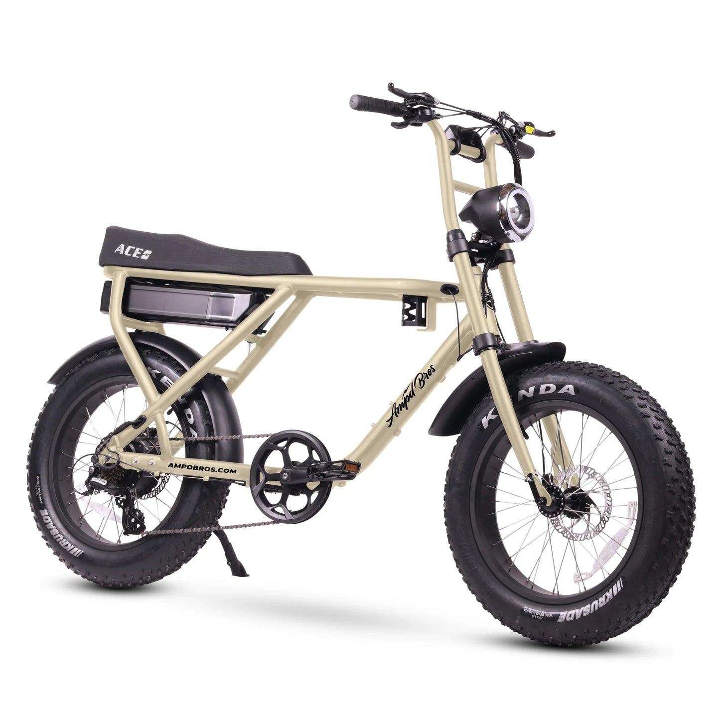 Ace-X Electric Bike