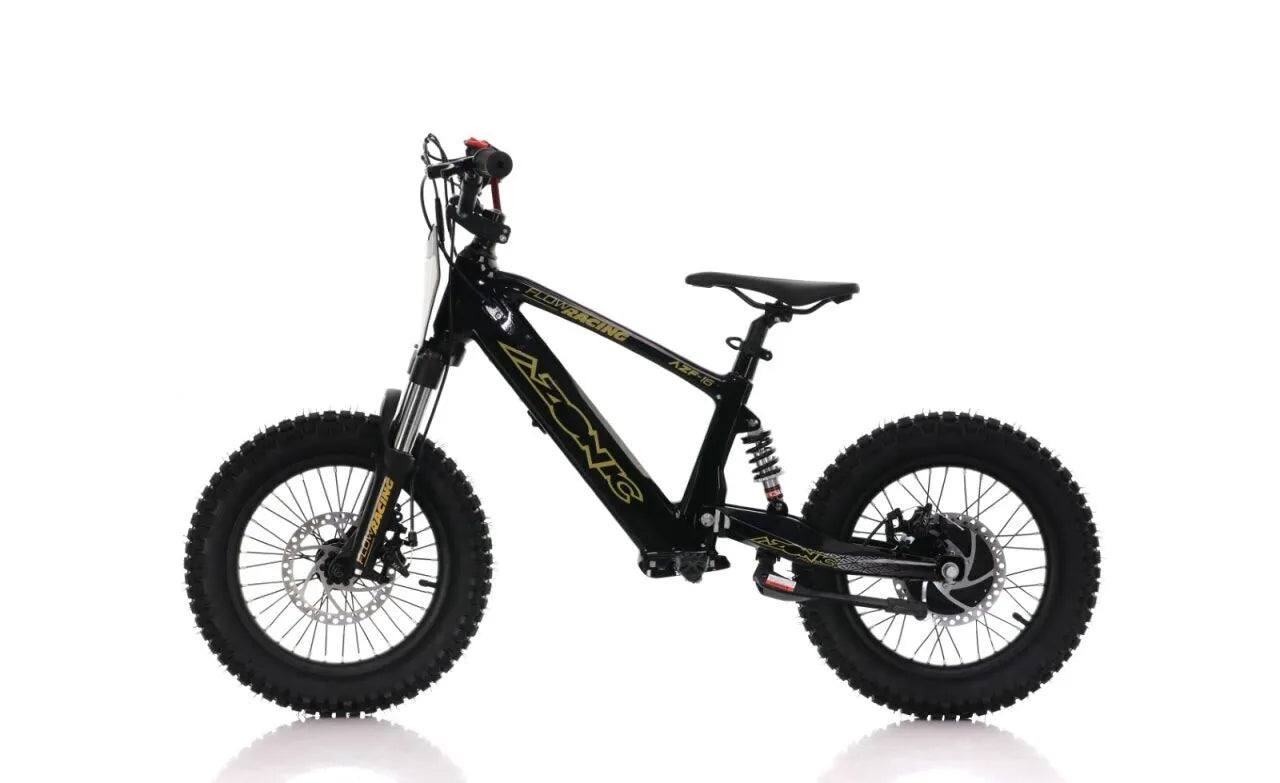 Azonic Flow Racing 16