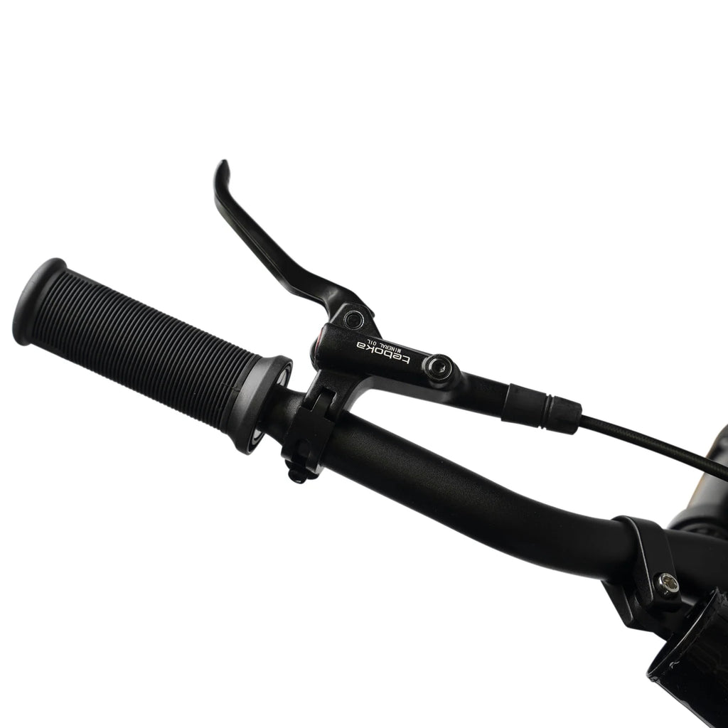 Evo Racing 20"Electric Bike