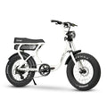 Ace-S Electric Bike