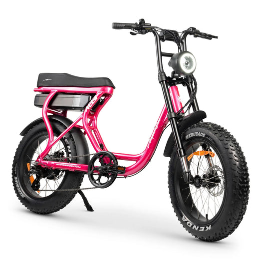 ACE-S PLUS + Electric Bike