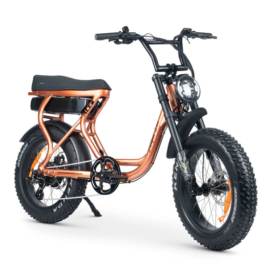 ACE-S PLUS + Electric Bike