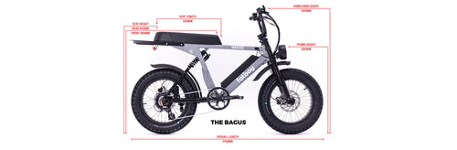 The Bagus V2