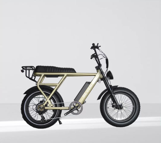 Rever Canyon Electric Bike