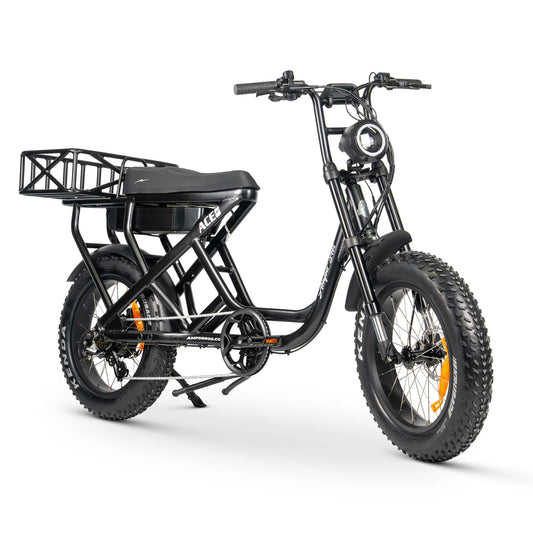 Ace-S Cargo Max Electric Bike