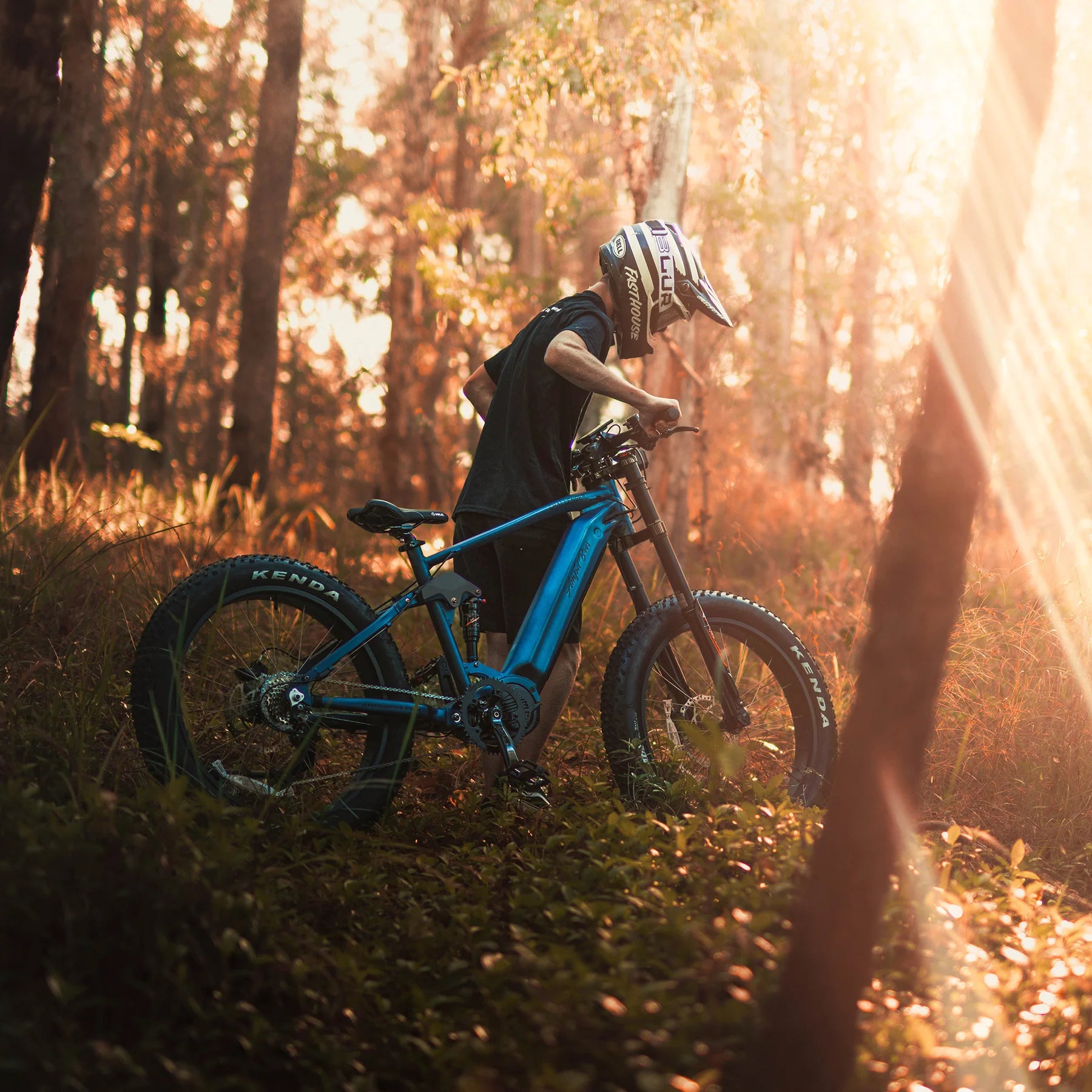 Challenger Electric Mountain Bike