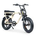 Ampd Ace -X PLUS + ELECTRIC BIKE