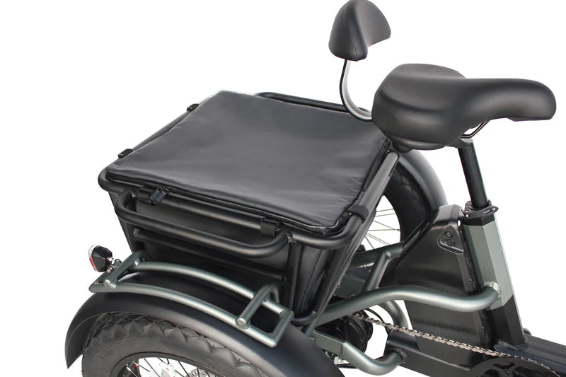 Vamos Papa Grande Pro 2026- 3 Wheel Trike