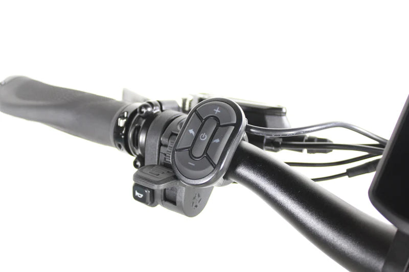 Vamos Papa Grande Pro 2026- 3 Wheel Trike