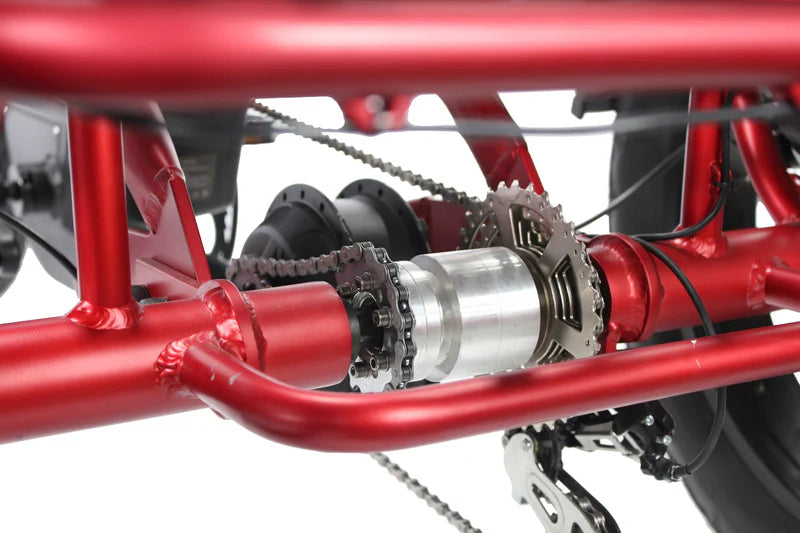 Vamos Papa Grande Pro 2026- 3 Wheel Trike