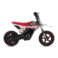 RFN Warrior Kids SX-E250 Electric Bike