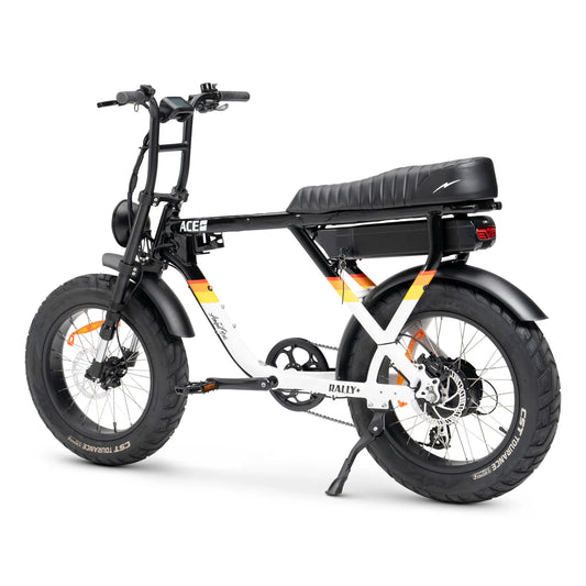 Ace Rally Plus + Edition Electric Bike