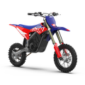 RFN WARRIOR YOUTH SX-E5 ELECTRIC BIKE