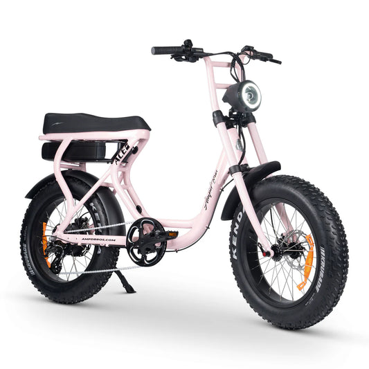 Ace-S Electric Bike